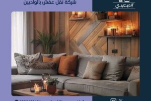 شركة نقل عفش بالواديين