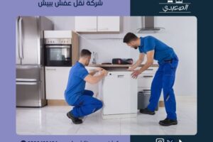 شركة نقل عفش ببيش
