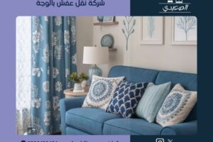 شركة نقل عفش بالوجة