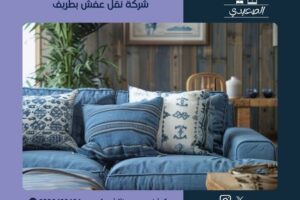 شركة نقل عفش بطريف