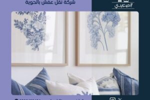 شركة نقل عفش بالحوية