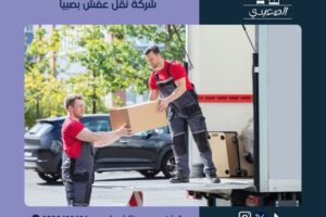 شركة نقل عفش بصبيا