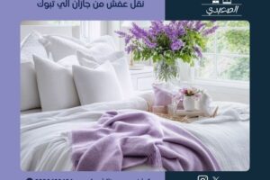 شركة نقل عفش من جازان الي تبوك